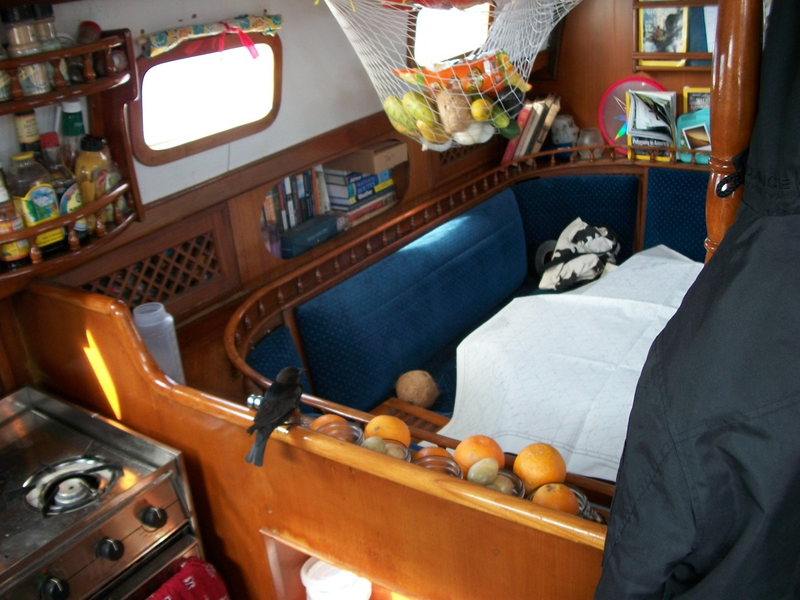 Illustration for article titled Meet The 29-Year-Old Woman Sailing Around The World Solo